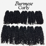 RAW BURMESE CURLY